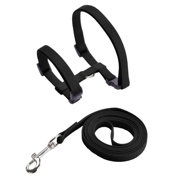Cheap Sphynx Cat Harness and Leash Set Convenient Pet Harnesses for Cats Gotas Katten mascotas Accessories Outdoor Kedi Cat Lead - Image 7