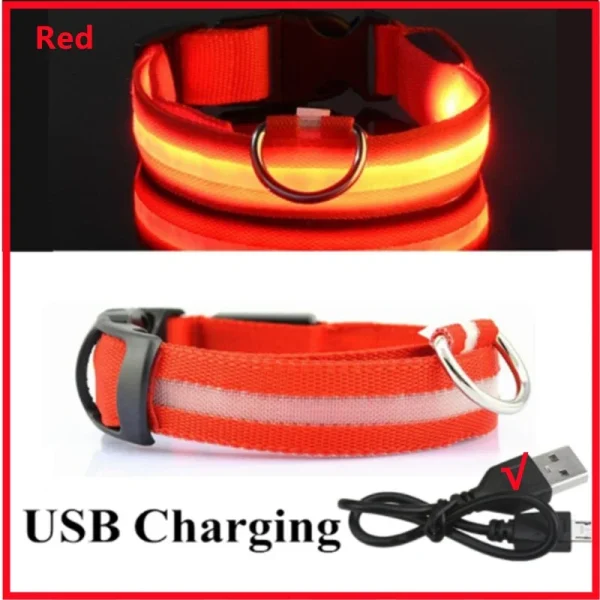 3 Modes Dog Luminous Charge Collar Led Usb Cat Dogs Collars Detachable Night Led Glow Dog Loss Prevention Collar Pet Accessories - Image 9