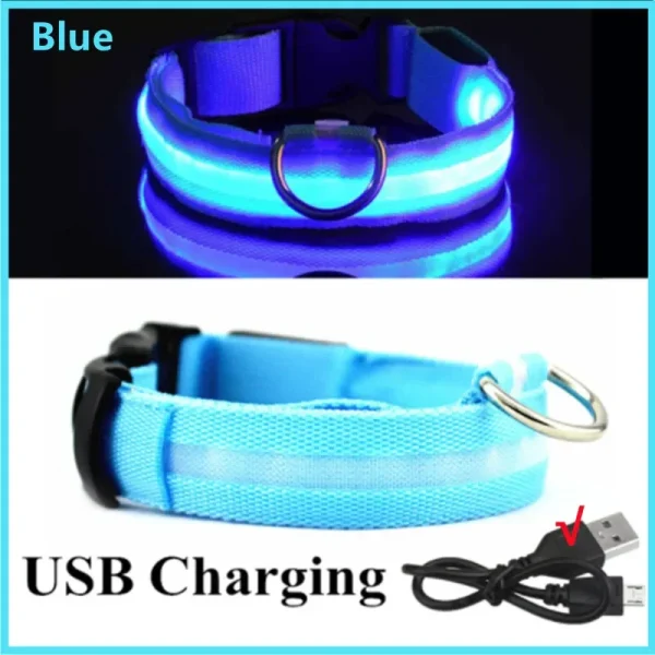 3 Modes Dog Luminous Charge Collar Led Usb Cat Dogs Collars Detachable Night Led Glow Dog Loss Prevention Collar Pet Accessories - Image 8