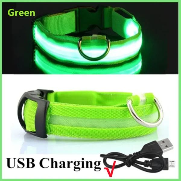 3 Modes Dog Luminous Charge Collar Led Usb Cat Dogs Collars Detachable Night Led Glow Dog Loss Prevention Collar Pet Accessories - Image 7