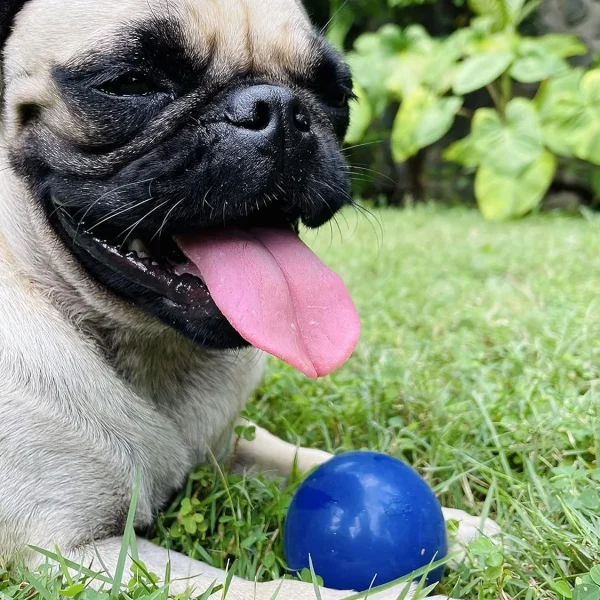 SuperChewy Tough Dog Ball Toy Strong Natural Rubber Great Fetch Toy Durable Chew Toy for Aggressive Chewers Large Breed Tested - Image 6