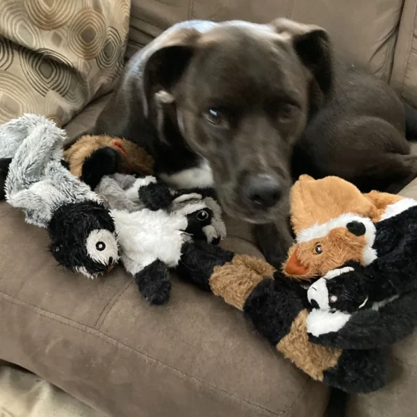 Funny Simulated Animal No Stuffing Dog Toy with Squeakers Durable Stuffingless Plush Squeaky Dog Chew Toy Crinkle Pet Squeak Toy - Image 5