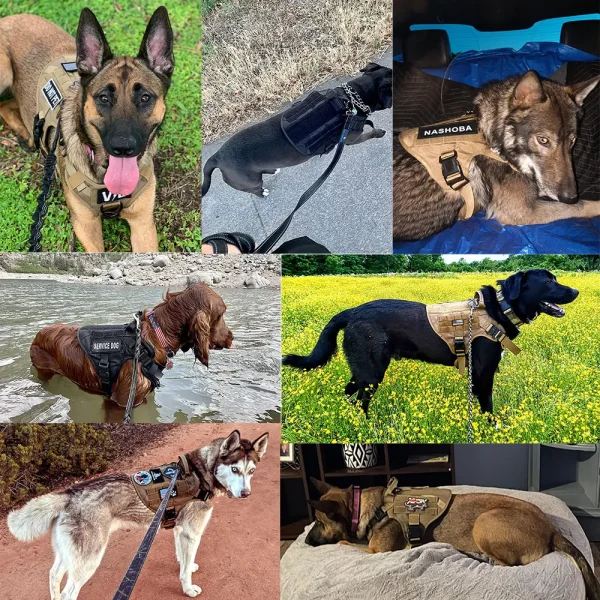 Military Large Dog Harness Collar Leash Bags Patches Set Pet Malinois Training Vests Tactical Dogs Harnesses Accessories - Image 6